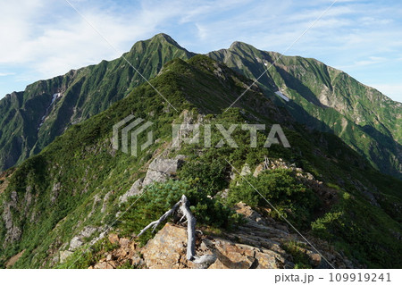 口ノ沢のコル付近の稜線から見る鹿島槍ヶ岳 口ノ沢のコル付近の稜線から見る鹿島槍ヶ岳 109919241