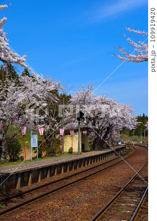 桜景 能登鹿島駅 桜景 能登鹿島駅 109919420