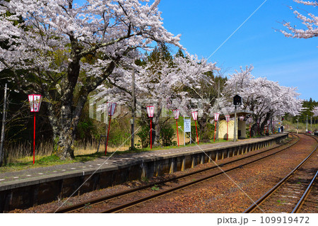 桜景 能登鹿島駅 桜景 能登鹿島駅 109919472