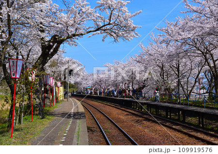 桜景　能登鹿島駅 109919576
