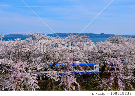 桜景 能登鹿島駅 桜景 能登鹿島駅 109919835