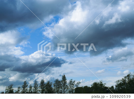 Beautiful cumulus clouds in the sky above a row of silhouettes of trees 109920539
