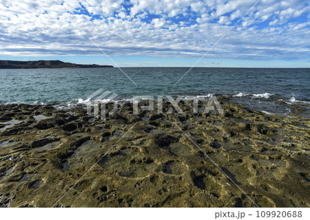 Coastal landscape with cliffs in Peninsula Valdes, World Heritage Site, Patagonia Argentina 109920688