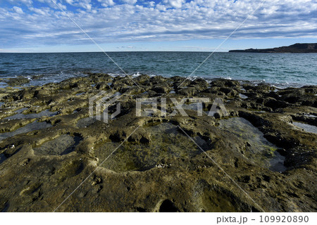 Coastal landscape with cliffs in Peninsula Valdes, World Heritage Site, Patagonia Argentina 109920890