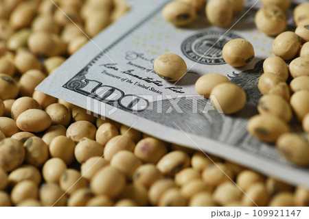 Dollars banknotes and coins and soy beans, commoditi value concept. 109921147