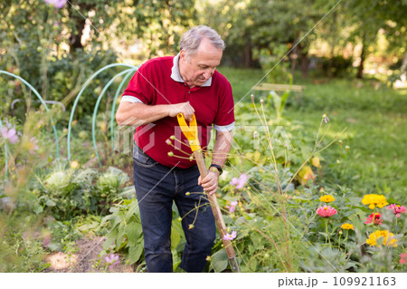 Skilled mature man tending to flower garden with shovel 109921163