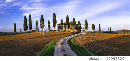 Italy, romantic Tuscany scenery with traditional cypresses and rolling hills. famous region Val d'orcia. 109921294