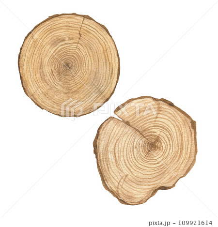 Watercolor illustration of set wood texture, round cut of wood, wooden rings isolated. Sawn wood. Handmade. 109921614