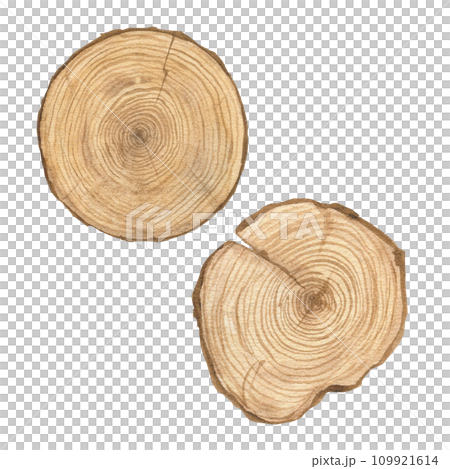 Watercolor illustration of set wood texture, round cut of wood, wooden rings isolated. Sawn wood. Handmade. 109921614