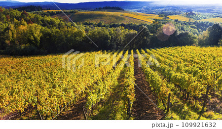 Italy scenery. Traditional countryside and vineyards of beautiful Tuscany in autumn golden colours 109921632