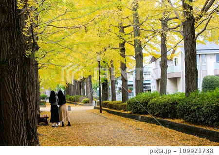 宇都宮駅東公園 宇都宮駅東公園 109921738