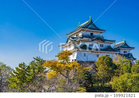 青空に映える冬の和歌山城 青空に映える冬の和歌山城 109921821