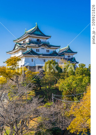 青空に映える冬の和歌山城 109921826