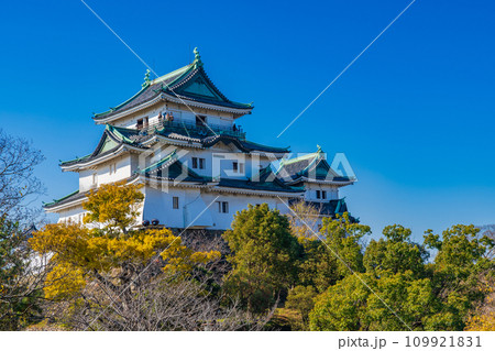 青空に映える冬の和歌山城 109921831