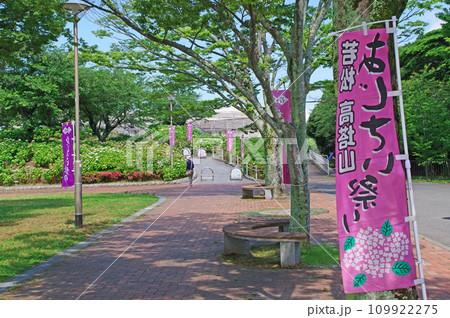 北九州市若松区にあるアジサイ名所の高塔山公園 北九州市若松区にあるアジサイ名所の高塔山公園 109922275