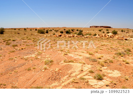 Rugged and Desolate Landscape Petrified Forest Arizona 109922523