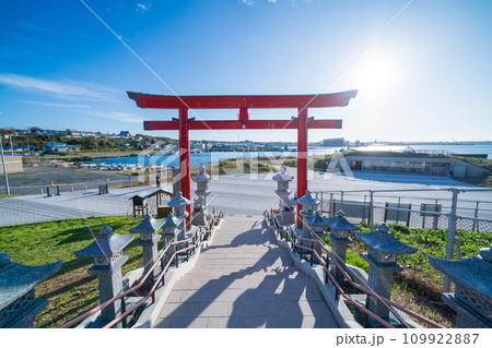 「青森県」蕪島神社の石段と鳥居　八戸市 109922887
