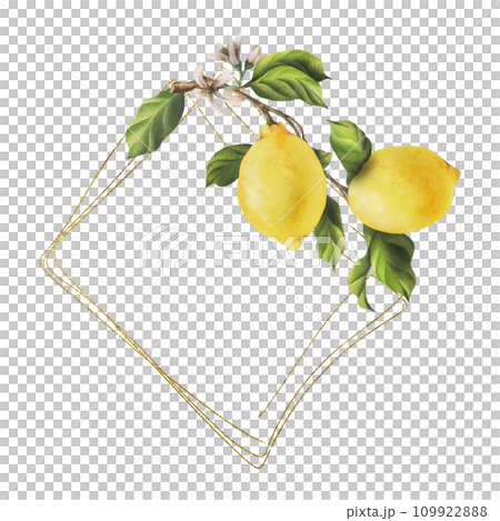 Lemons are yellow, juicy, ripe with green leaves, flower buds on the branches, whole and slices. Watercolor, hand drawn botanical illustration. Frame, template on a white background. 109922888