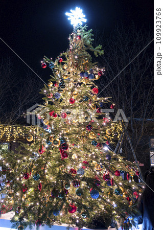 クリスマスツリー 109923768