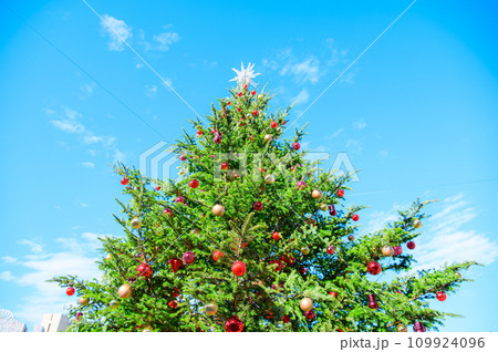 青空とクリスマスツリー 青空とクリスマスツリー 109924096