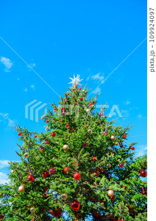 青空とクリスマスツリー 青空とクリスマスツリー 109924097