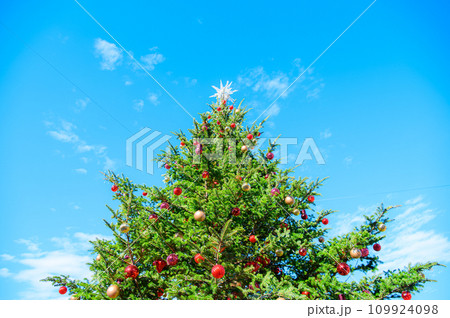 青空とクリスマスツリー 青空とクリスマスツリー 109924098