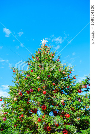 青空とクリスマスツリー 青空とクリスマスツリー 109924100