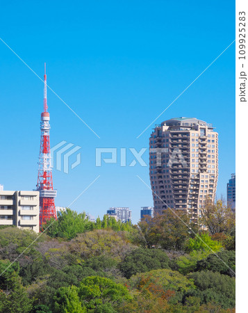 広尾から望む東京タワー(2023年11月) 広尾から望む東京タワー(2023年11月) 109925283