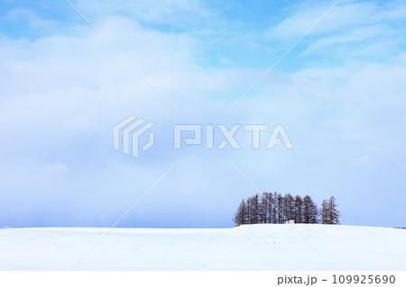 冬の北海道美瑛町の風景 109925690