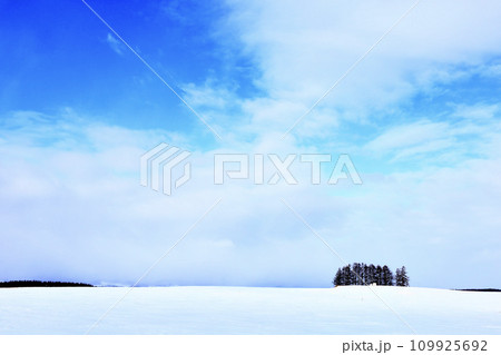 冬の北海道美瑛町の風景 109925692