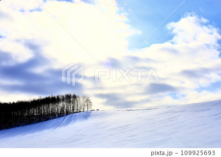 冬の北海道美瑛町の風景 109925693