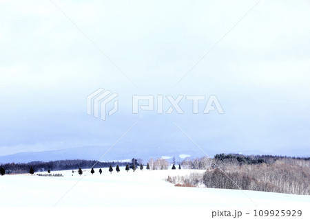 冬の北海道美瑛町の冬景色 冬の北海道美瑛町の冬景色 109925929