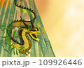 年賀状素材　竹林の中の龍 109926446
