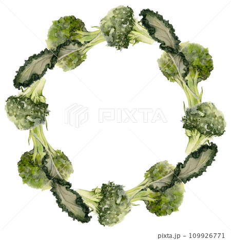 Hand drawn watercolor green salad spinach kale leaf diet and healthy lifestyle, vegan cooking. Illustration circle wreath frame isolated on white background. Design poster, print, website, card, menu Hand drawn watercolor green salad spinach kale leaf diet and healthy lifestyle, vegan cooking. Illustration circle wreath frame isolated on white background. Design poster, print, website, card, menu 109926771