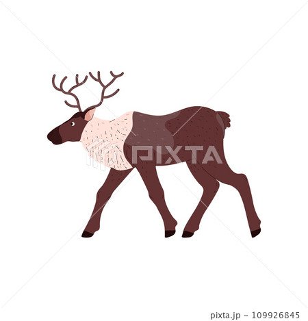 Reindeer with antlers, wild animal of the tundra and taiga, cartoon vector isolated northern brown large ungulate mammal 109926845