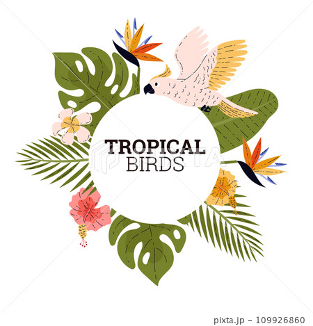 Tropical flora and fauna vector label paradise design, cockatoo, cockadu bird, beautiful exotic blossom wild flowers 109926860