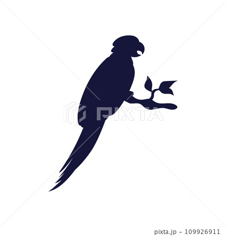 Silhouette of parrot of Amazon or Caribbean birds, vector illustration isolated. Silhouette of parrot of Amazon or Caribbean birds, vector illustration isolated. 109926911