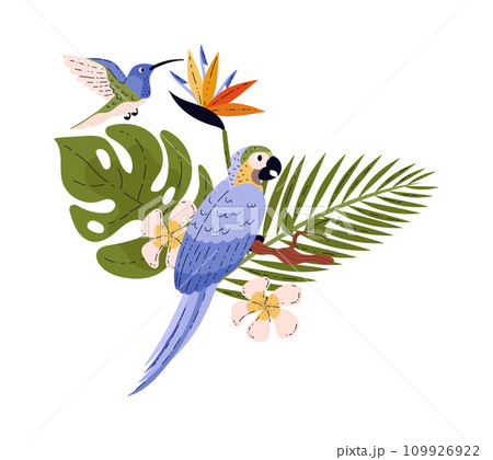 Ara parrot and hummingbird around leaves and flowers flat style, vector illustration Ara parrot and hummingbird around leaves and flowers flat style, vector illustration 109926922