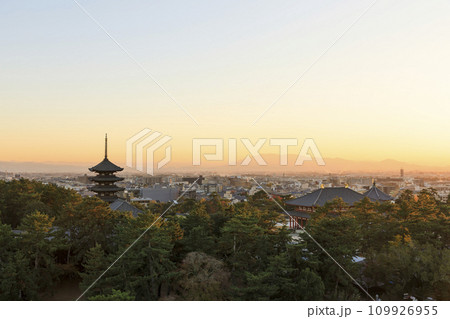 奈良県奈良市 秋の興福寺五重塔と中金堂の夕景 奈良県庁からの眺め 奈良県奈良市 秋の興福寺五重塔と中金堂の夕景 奈良県庁からの眺め 109926955