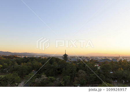 奈良県奈良市 　秋の興福寺五重塔と中金堂の夕景　奈良県庁からの眺め 109926957