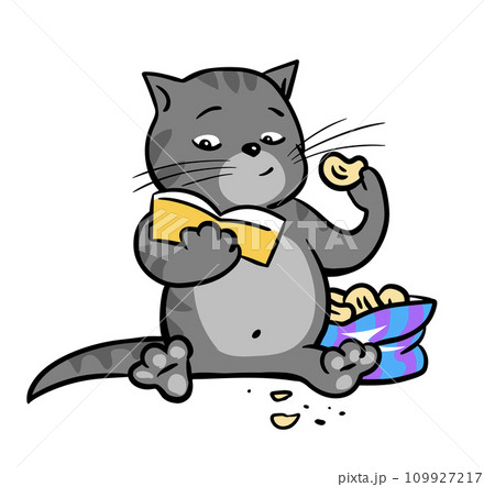 Tabby cat reads a book and eats chips 109927217