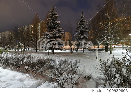 Winter cityscape with and snow-covered fir trees in Moscow, Russia 109929868