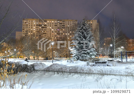 Winter cityscape with multi-storey residential buildings and snow-covered fir trees in Moscow, Russia 109929871
