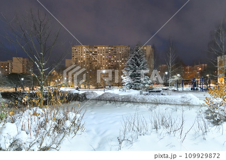 Winter cityscape with multi-storey residential buildings and snow-covered fir trees in Moscow, Russia 109929872