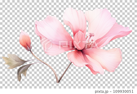 a pink flower is shown on a transparent background 109930051