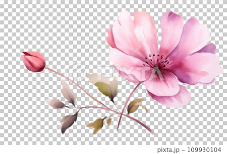 a pink flower is shown on a transparent background 109930104