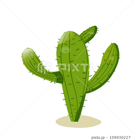 Tall succulent cactus with thorns isolated element. Vector drawing illustration for icon, game, packaging, banner. Wild west, western, cowboy concept 109930227
