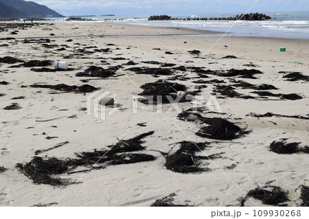 海辺の海藻とゴミ 海岸の漂着物 海辺の海藻とゴミ 海岸の漂着物 109930268