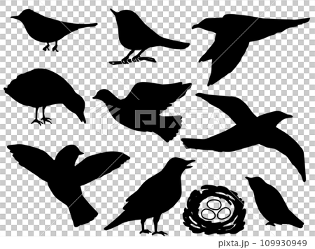 鳥剪影插圖集 鳥剪影插圖集 109930949