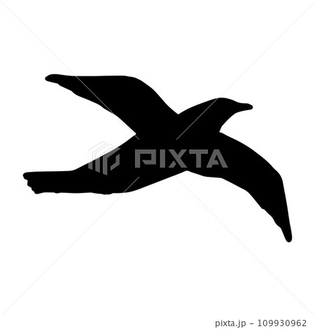 滑空する鳥のシルエットモノクロイラスト　 109930962